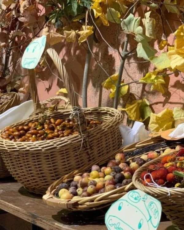 Vivere l Umbria tweet media