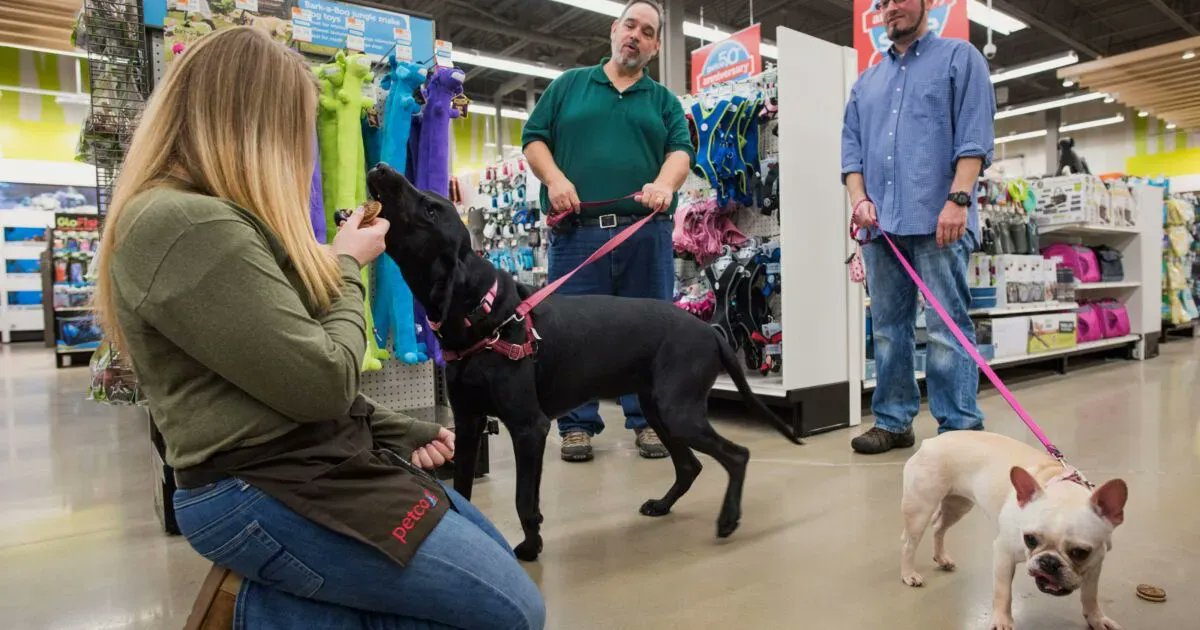 McLMark's tweet photo. Nationwide partners with Petco... not just insurance but value added services.  #riskconcierge https://t.co/cEobB0xtGa https://t.co/Rb8jSNu7PK