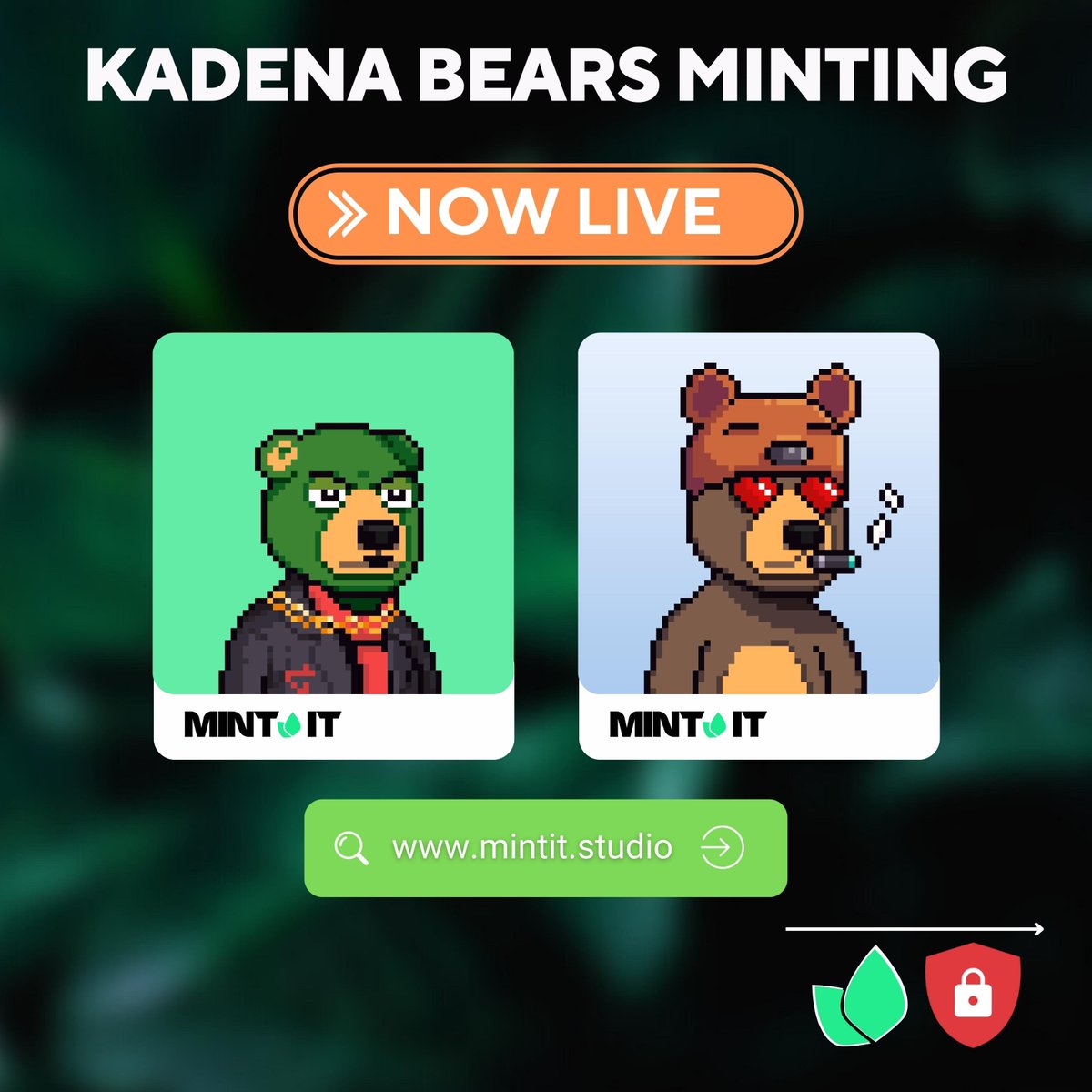 🚨🔥@KadenaBears WL Round is LIVE🔥🚨

The @KadenaBears has a supply of 2222👀👀

Price 🐻
Whitelist price 8 $KDA
Public price 10 $KDA

👇Minting Site👇
mintit.studio/collections/ka…

#Kadena #NFT #MintingNow #Marmalade