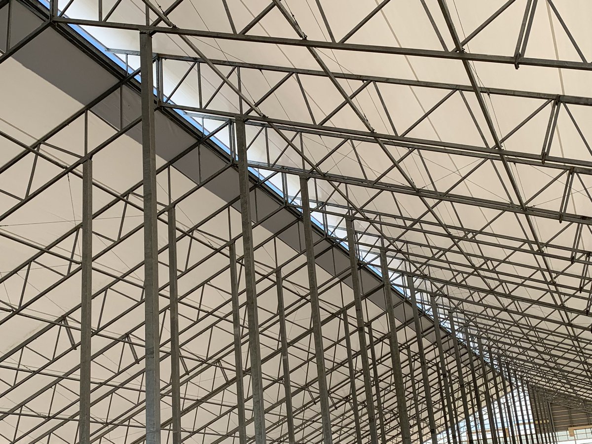 Ken Schaus 🇨🇦 tweet media