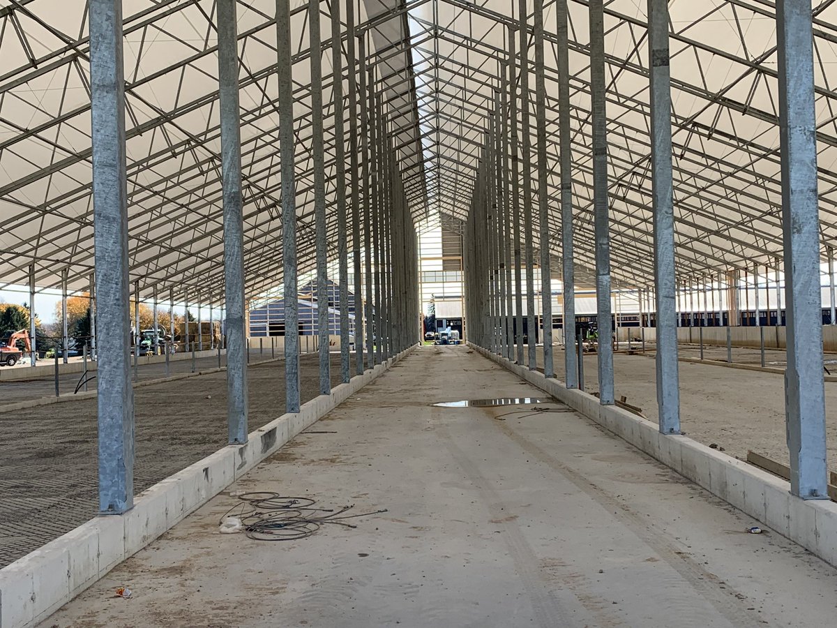 Ken Schaus 🇨🇦 tweet media