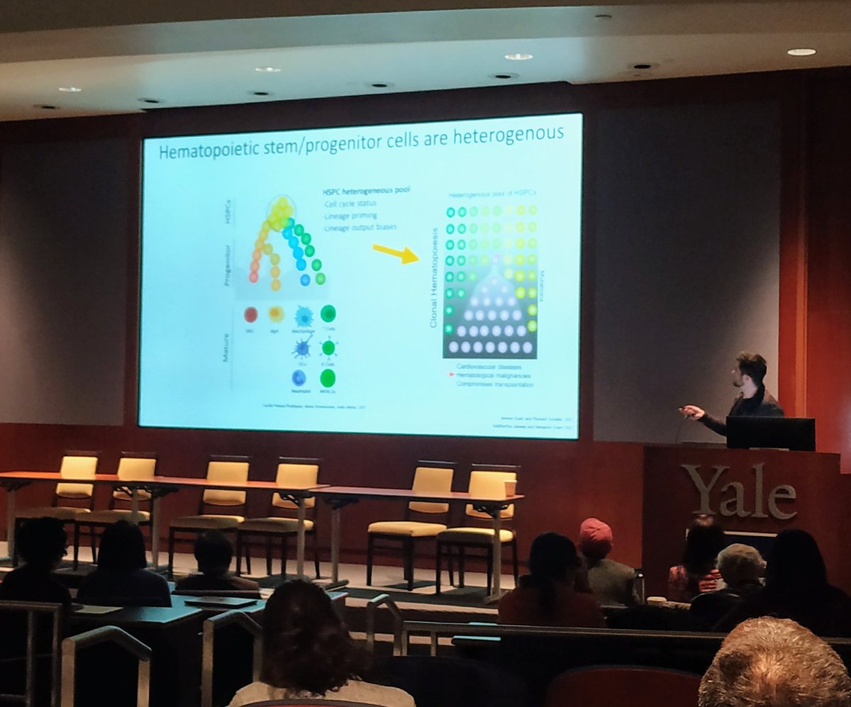 "HSPCs heterogeneity is Inherited 
from the Embryonic Hemogenic Endothelium”. Amazing talk by <a href="/joey_ghersi/">Joey Ghersi</a> at the Stem Cell Center retreat!