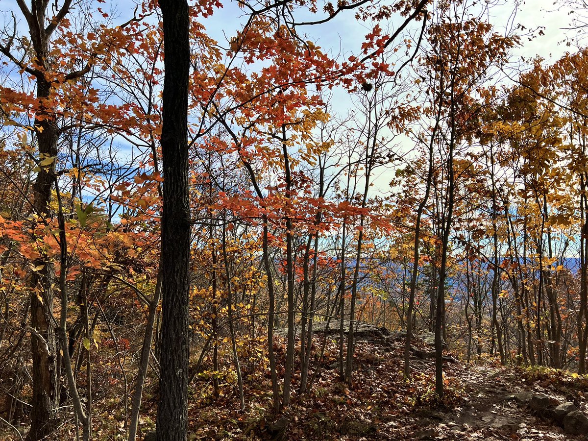 lynnsferrazza1's tweet photo. #CastleCraig #Meriden https://t.co/S33LaCBVJ6