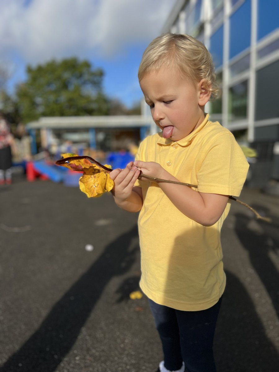 MissPhillipsMtn's tweet image. Super collaboration, concentration and communication making nature wands this week. #eyfsoutdoorlearning #eyfs #outdoorlearning