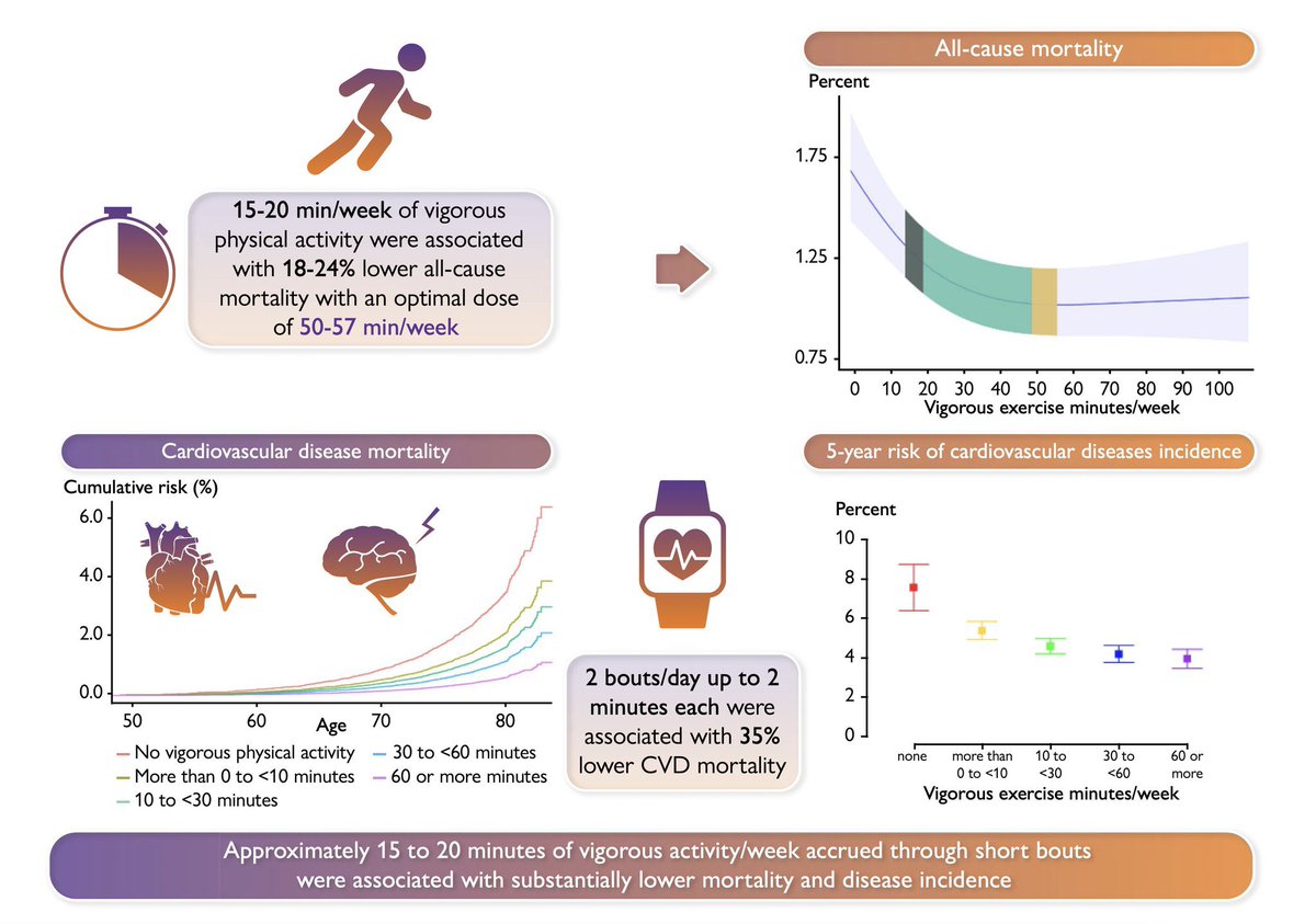 Alistair Brownlee tweet media