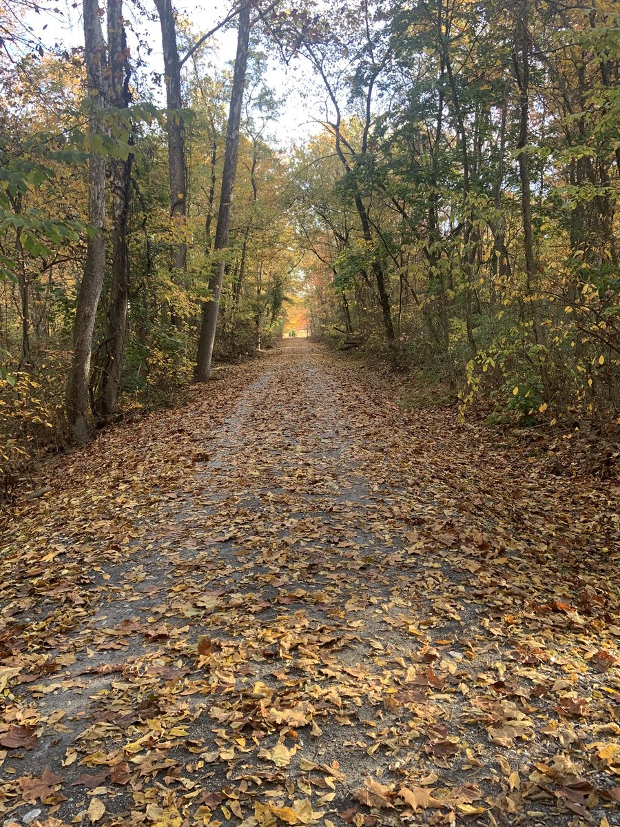 JoshKestersonMD's tweet photo. Thank you #Rails2Trails for this great path to run on.  Running playlist: #RobBaird #Future #DBT #TSwift #YeahYeahYeahs #GucciMane    Take some recs/Give some recs… https://t.co/hOneE2cOUp
