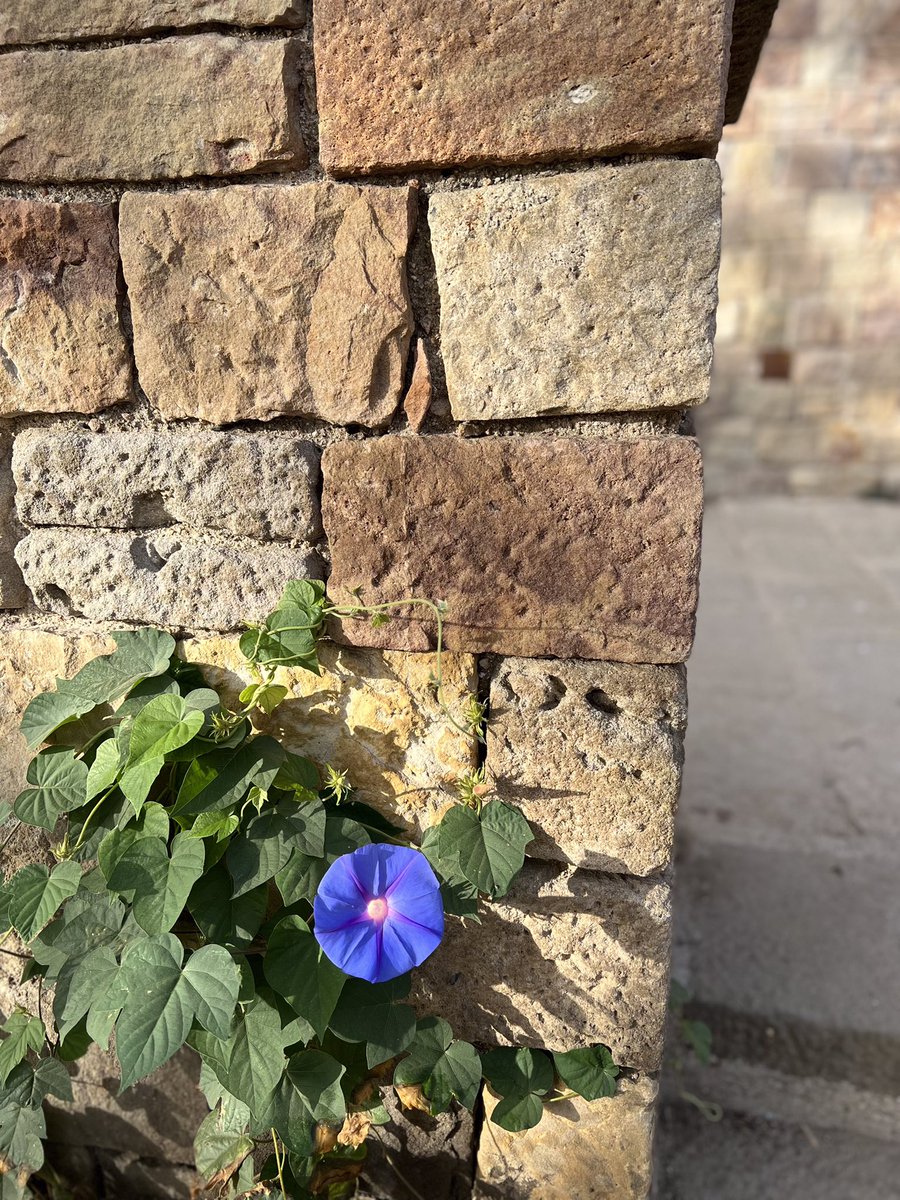 Barcelona ! Our time together was so brief.  But you were great… as were all the good folk who travelled from Madrid!   What a treat!

Now it’s your turn Iceland… please don’t break me again. #bodyofwork