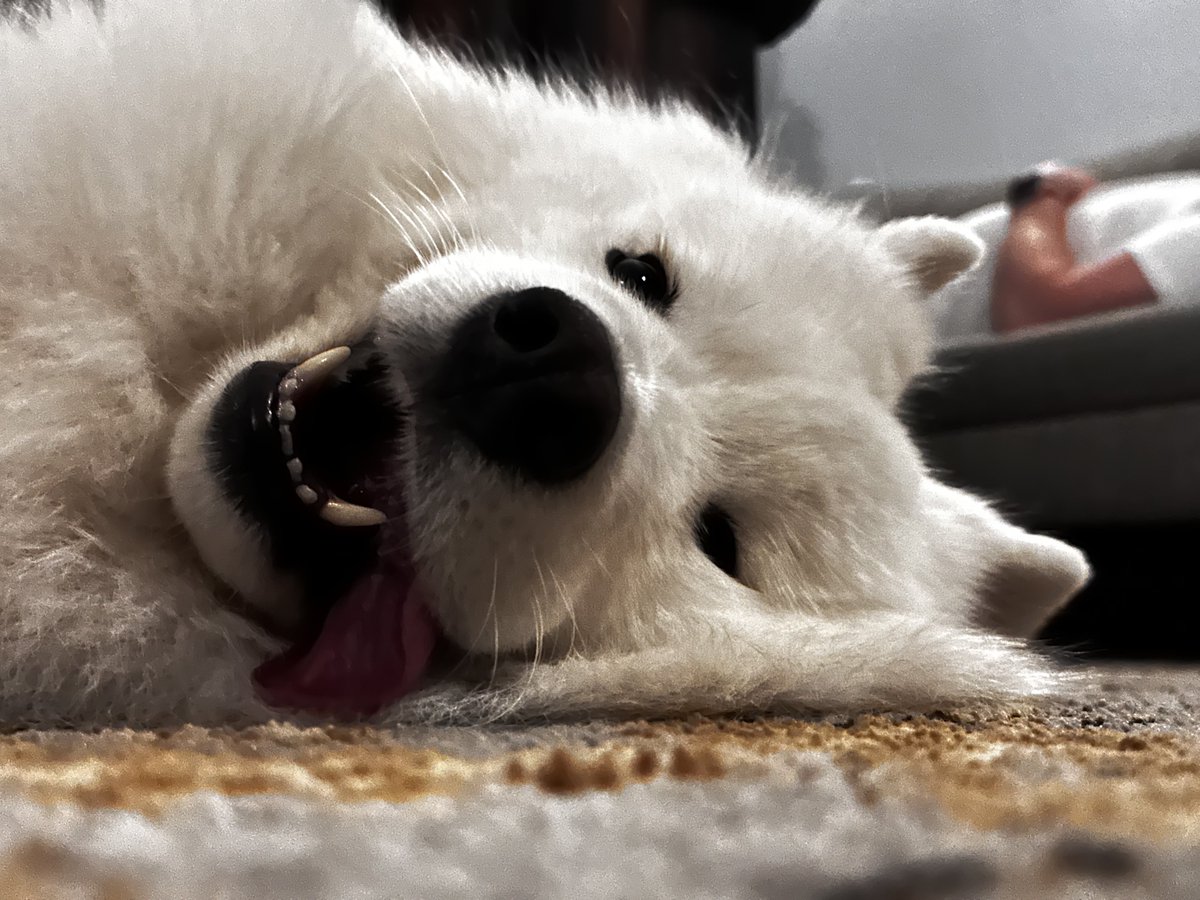 Sophie Hudson tweet media