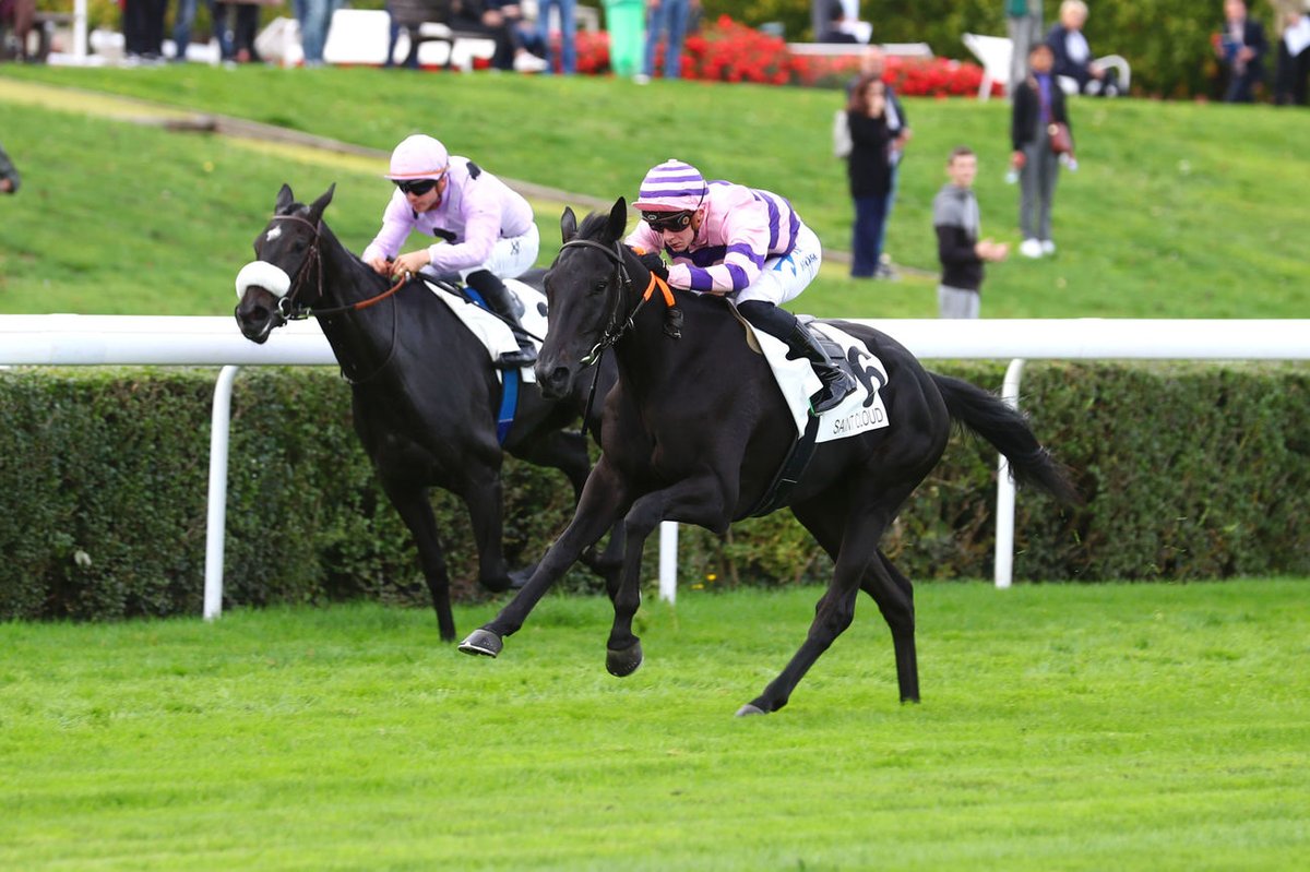 huet60's tweet photo. 🏆🏆 An other double for young hoop @trullierthomas with 2 gun rides for Team Bonnefoy with DIAMAND DE VINDECY and @MathieuBrasme with SHATTERHAND 💥 Well done connections and stable team 🌟 https://t.co/Yly1X5hCdn