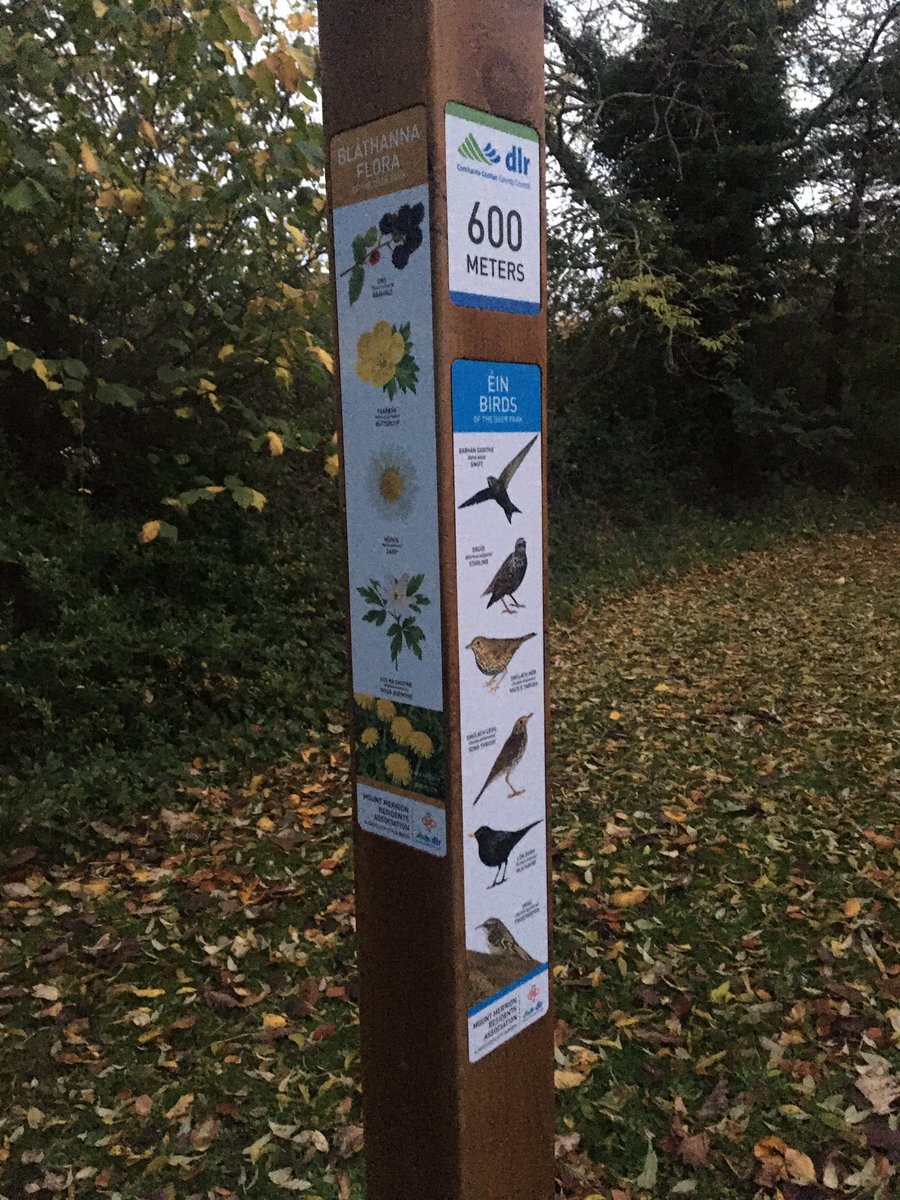 Mount Merrion tweet media