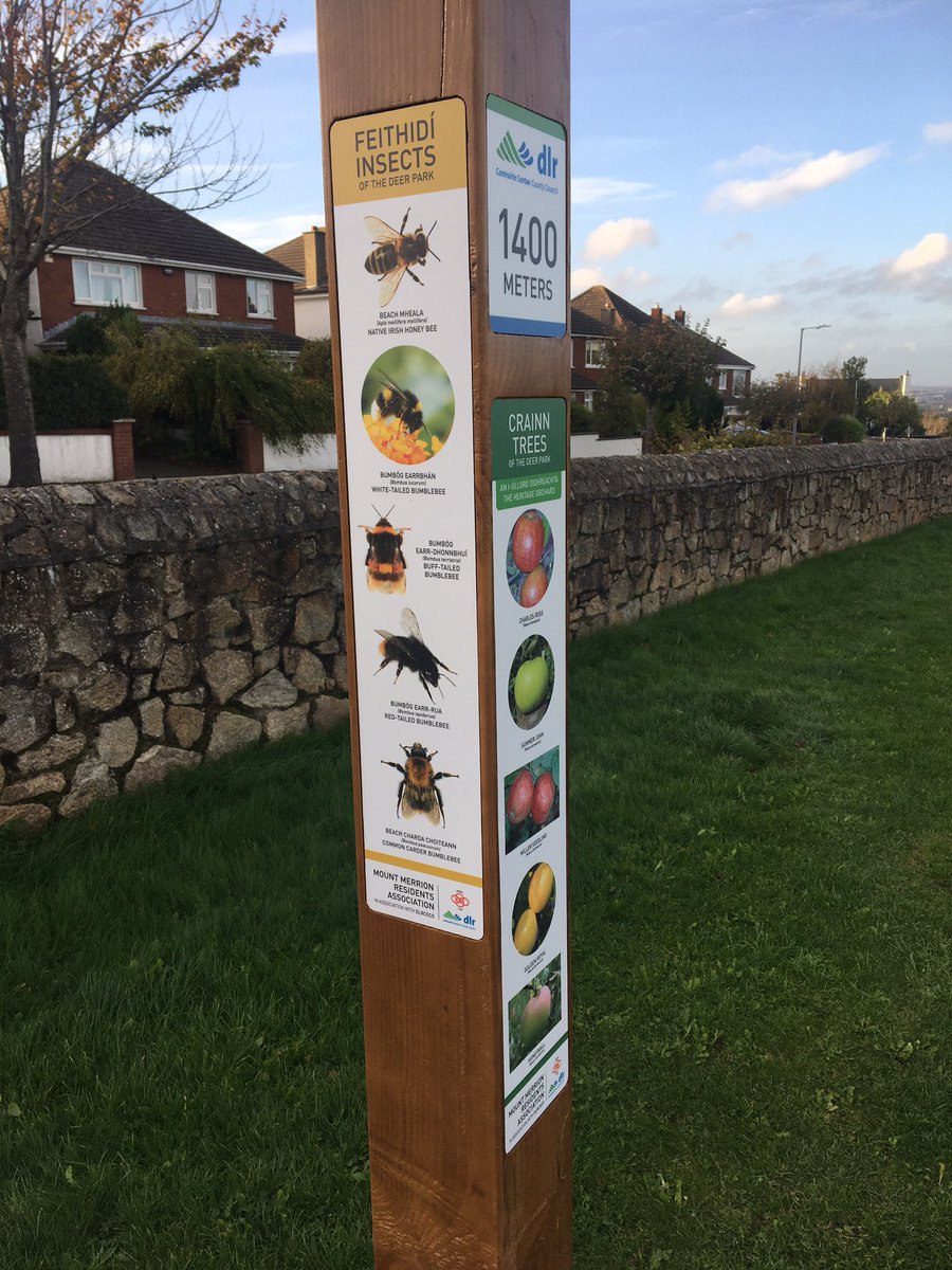 Mount Merrion tweet media