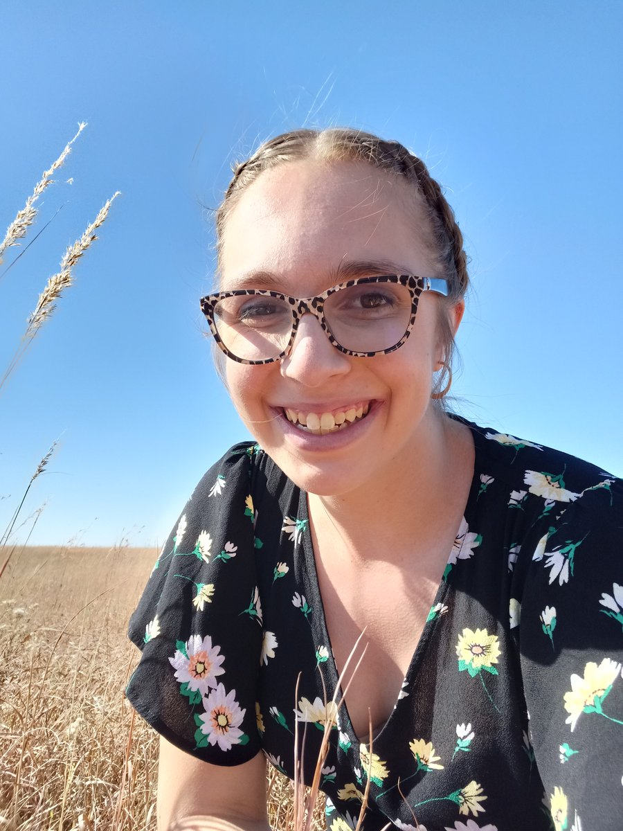 Lipka Lab tweet media