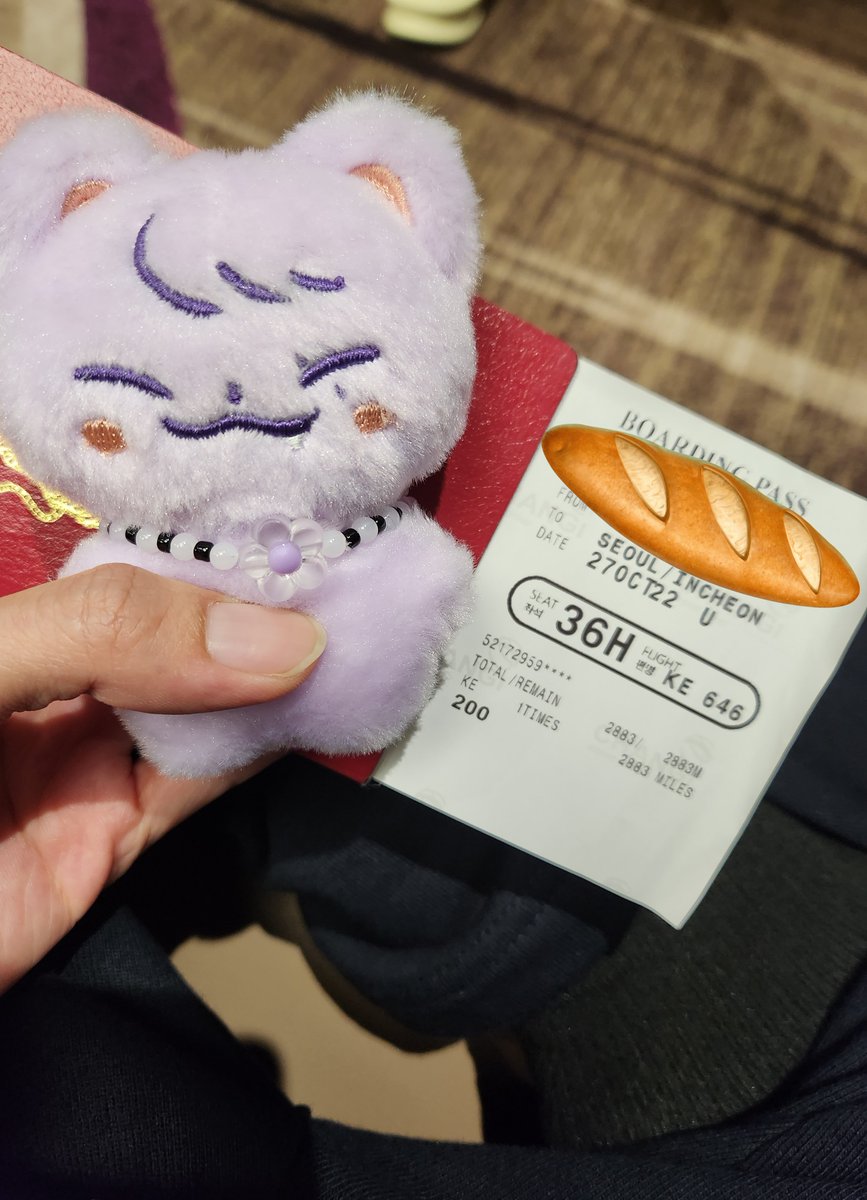 shun196263's tweet photo. Don't Be Afraid,Meow Meow can go anywhere～

Day1 第一次坐飛機✈️喵 https://t.co/EWTUMYwJjE