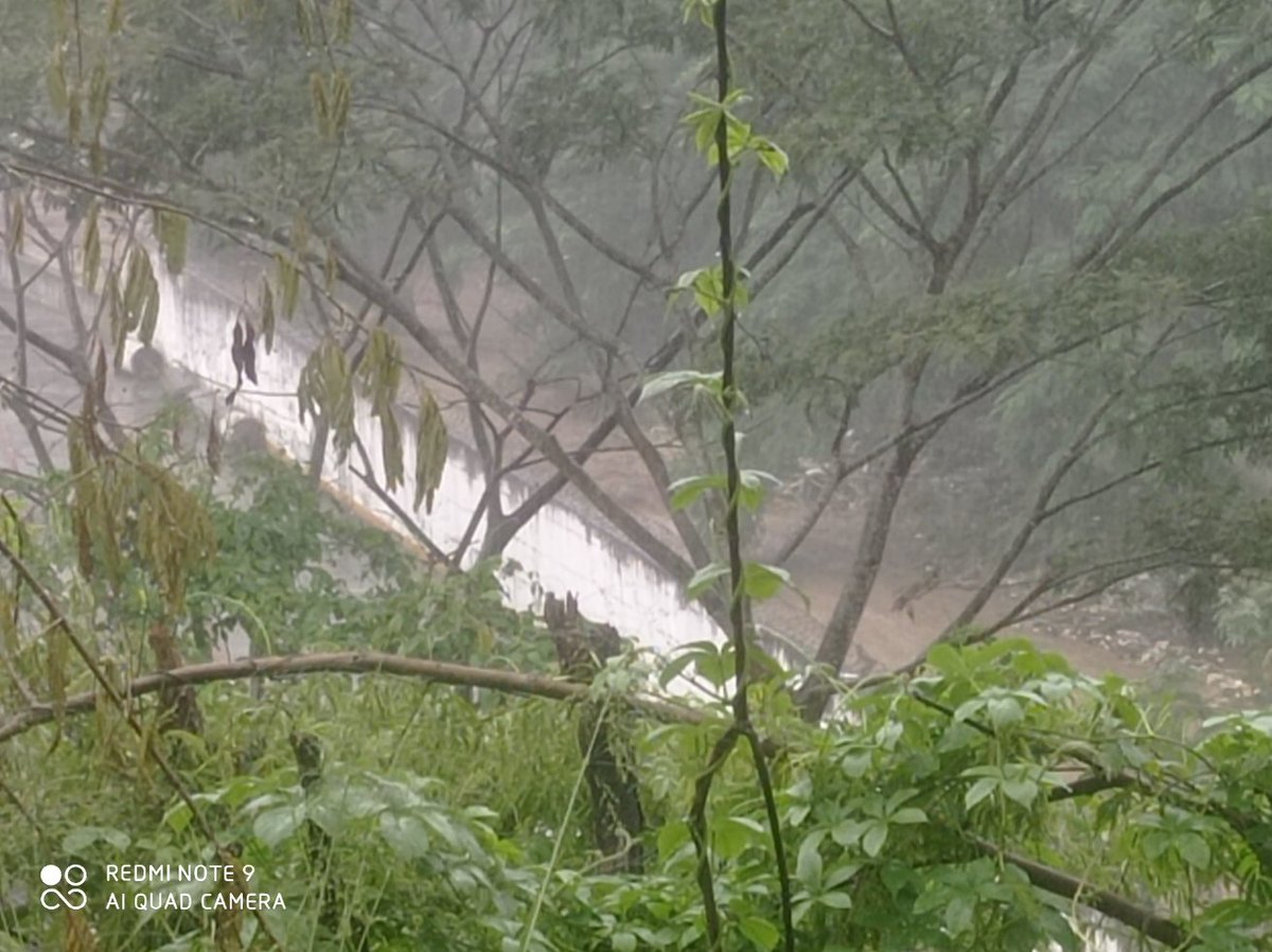 #ATENCIÓN

Allí va el río que atraviesa toda la carretera nacional Petare - GUARENAS con toda su fuerza. Otra vez☹️☹️☹️☹️ 1:40pm <a href="/ReporteYa/">Reporte Ya</a> <a href="/misciudades/">Dios vzla democracia</a> <a href="/noticias24/">Noticias 24</a> <a href="/Notidiahora/">NOTICIAS AL DÍA Y A LA HORA</a>