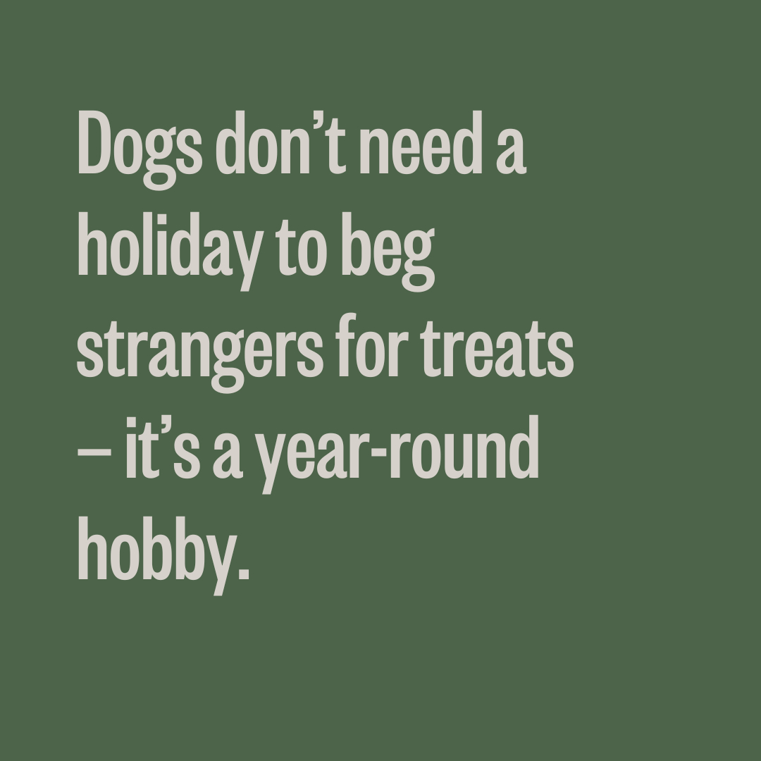 The treat lifestyle isn't for everyone, but you bet it is for dogs.

#ToKnowThemIsToLoveThem #TricksAndTreats
