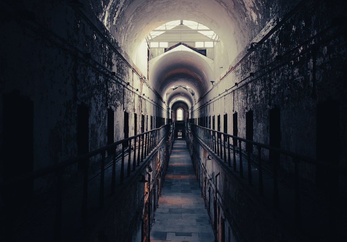 Temple Alumni tweet media