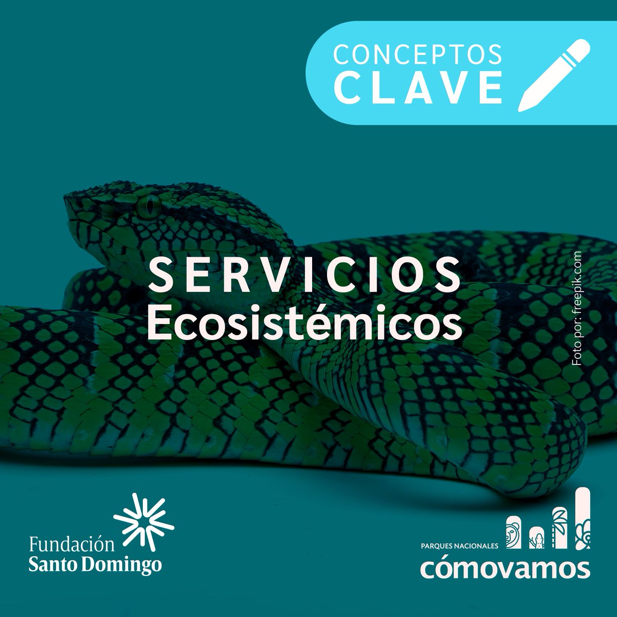 ParquesComoVan's tweet photo. #ConceptosClave
¿Sabían que los Servicios Ecosistémicos hacen posible la vida humana? 🧐
Hoy, junto a nuestro miembro aliado la @f_santo_domingo ampliaremos el glosario de #ParquesCómoVamos y les explicaremos a qué nos referimos cuando hablamos de Servicios Ecosistémicos. https://t.co/im5Xhwg1cZ