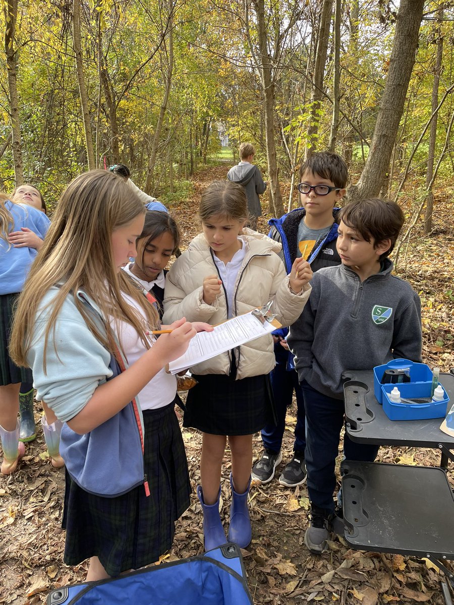 ddelduca tweet media