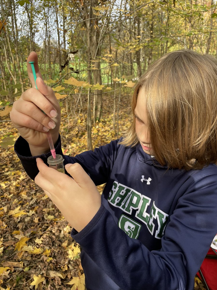 ddelduca tweet media