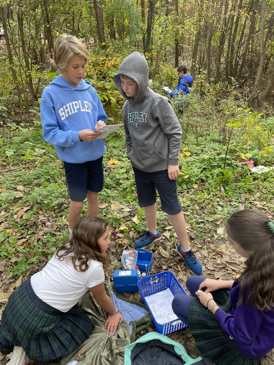 ddelduca tweet media