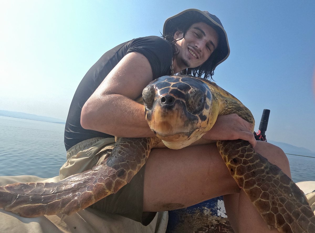 UoE_MarineMSc's tweet photo. #MeetOurPod — Angelos, from Cyprus! His favourite marine animal is the leatherback turtle—and his early love of the sea came from seeing nesting loggerheads. While he used to hate going to the beach because of sand's stickiness, he's now all about turtle conservation. @biopechlis https://t.co/3DF3xYaE7r