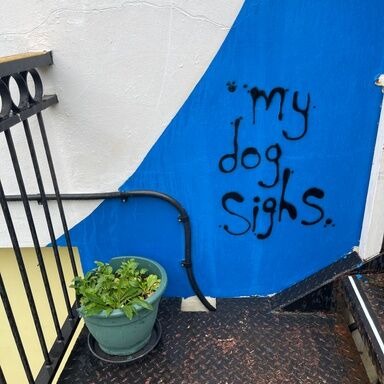 #bts shots of the new @mydogsighs mural in Hastings