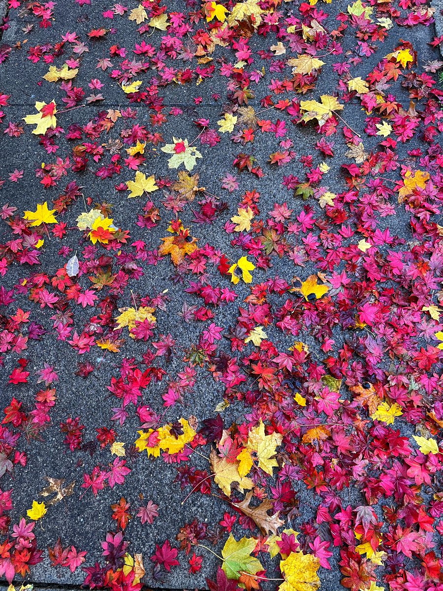 autumn sidewalks 2