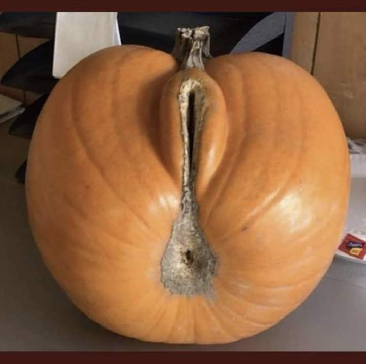 Well that's #halloween2022 sorted for the single guys 😳