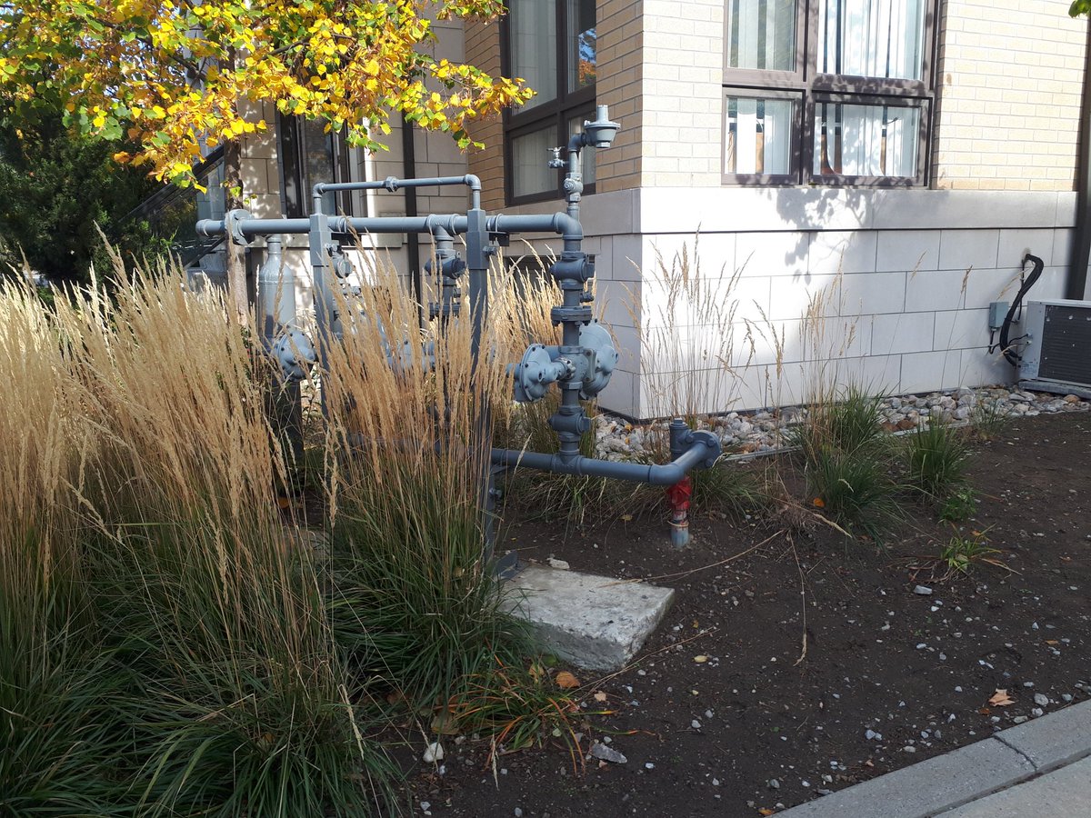 davidsitplanTo's tweet photo. Visiting a number of existing townhouse developments in North York today.  Learning from our past about the importance of public realm, the location of our utilities and garbage areas and having enough room for our trees.  Will this all change soon? https://t.co/rkqx5URVQI