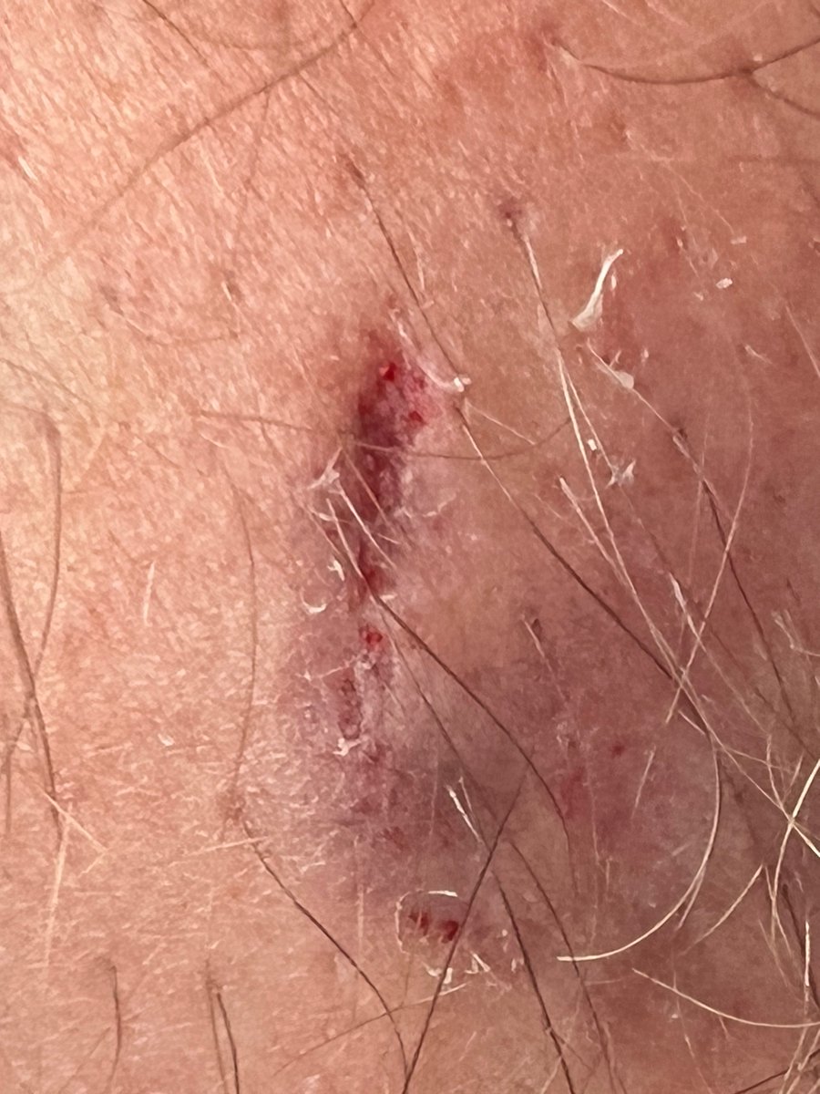 @levelsio tweet media