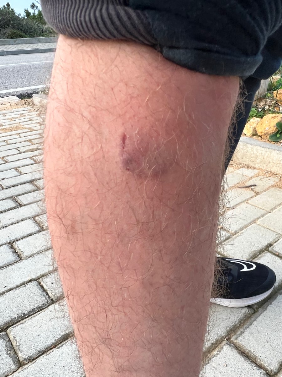 @levelsio tweet media