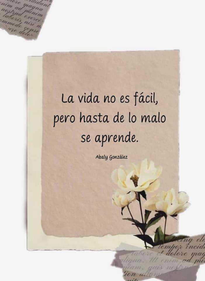 Grandes lecciones.
👍🌿👍🌿👍