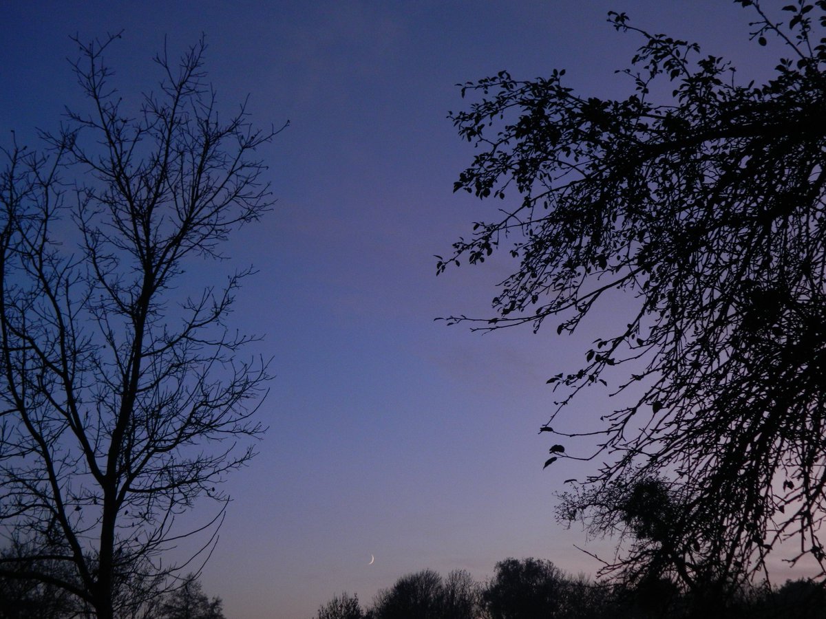 ghostyyaltair's tweet photo. Spooky moon 🌙. Thin moon is my favorite moon phase 😍
#moon #youngmoon #photography #photooftheday #photographer #naturelovers #NaturePhotography #nature #Autumn #autumnvibes #friday #evening #October #ThePhotoHour https://t.co/rU3LFhv1sa