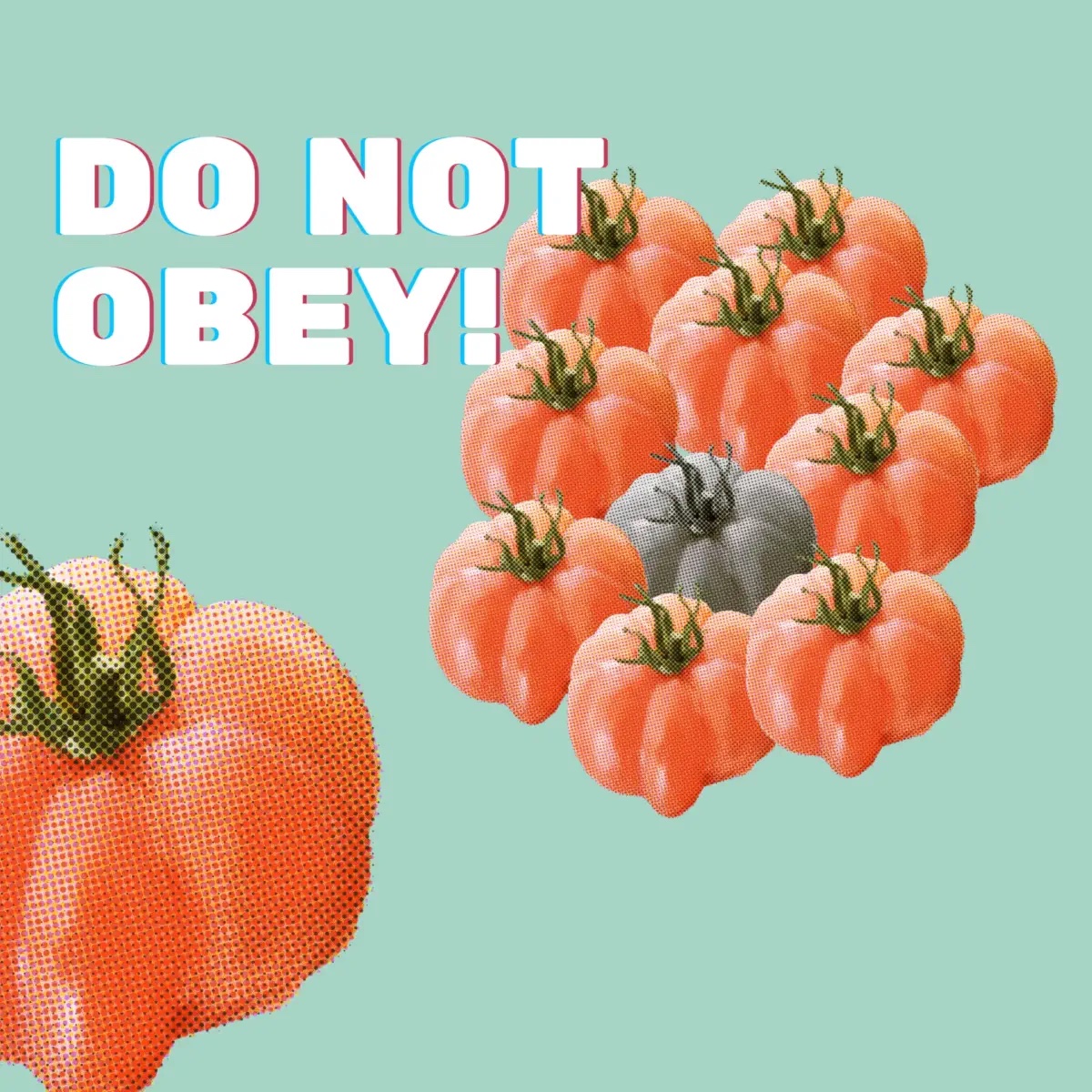 eveinrabbithole's tweet photo. So I've got a disobedient and organic af tomato😅 Thanks @adgonnotbroke for your brilliant satire!
@justomatonft 🍅 https://t.co/AxF1NKgXrt