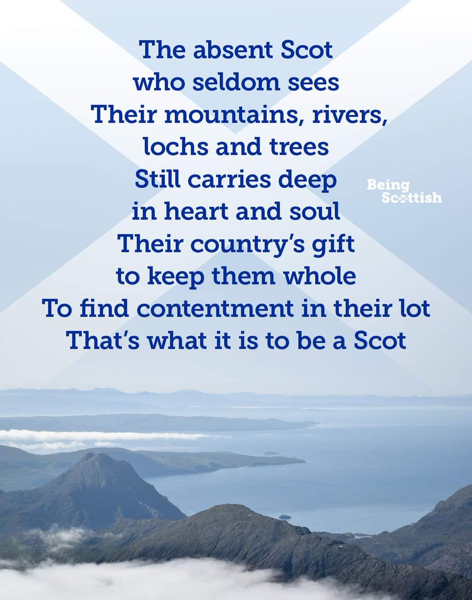 shuggie mcshuggle tweet media