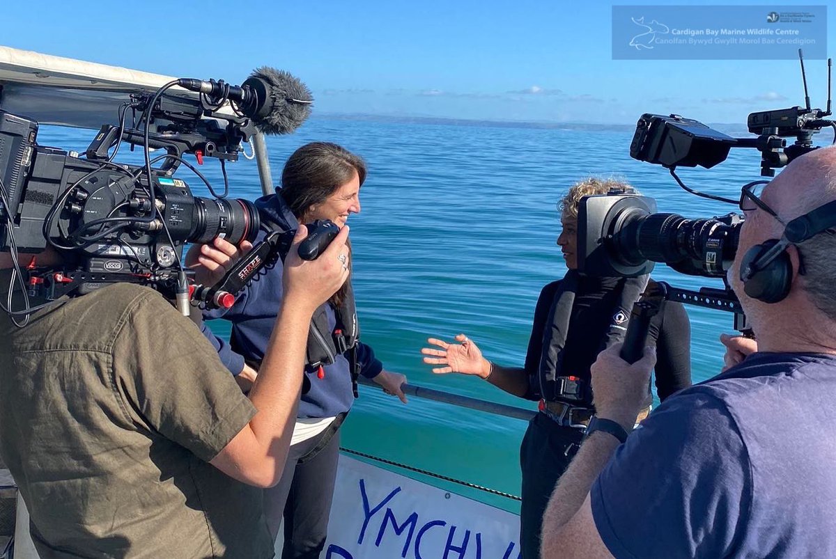 CBMWC's tweet photo. 📢 Did you catch us on ep. 3 of BBC’s #AutumnWatch last night? 🍁 📺 

Gillian joined @CBMWC Living Seas Manager, Dr Sarah Perry &amp; @BristolBioSci PhD student, Laura Palmer in New Quay to find out about our #CardiganBay bottlenose #dolphin research 📷 🐬🎤🎶
#NatureNetworksFund https://t.co/oGeZXDpobp