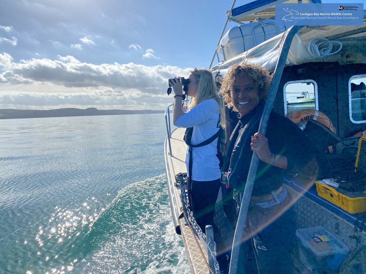 CBMWC's tweet photo. 📢 Did you catch us on ep. 3 of BBC’s #AutumnWatch last night? 🍁 📺 

Gillian joined @CBMWC Living Seas Manager, Dr Sarah Perry &amp; @BristolBioSci PhD student, Laura Palmer in New Quay to find out about our #CardiganBay bottlenose #dolphin research 📷 🐬🎤🎶
#NatureNetworksFund https://t.co/oGeZXDpobp