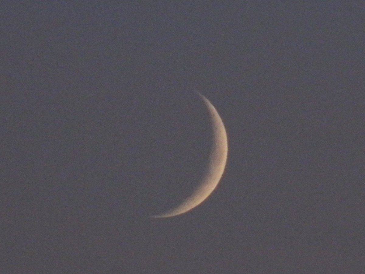 ghostyyaltair's tweet photo. Spooky moon 🌙. Thin moon is my favorite moon phase 😍
#moon #youngmoon #photography #photooftheday #photographer #naturelovers #NaturePhotography #nature #Autumn #autumnvibes #friday #evening #October #ThePhotoHour https://t.co/rU3LFhv1sa