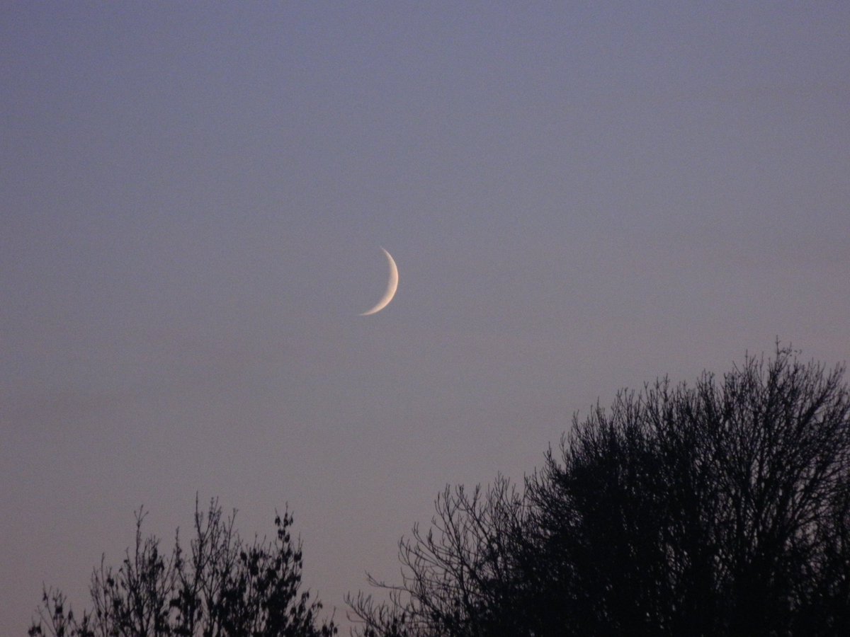 ghostyyaltair's tweet photo. Spooky moon 🌙. Thin moon is my favorite moon phase 😍
#moon #youngmoon #photography #photooftheday #photographer #naturelovers #NaturePhotography #nature #Autumn #autumnvibes #friday #evening #October #ThePhotoHour https://t.co/rU3LFhv1sa