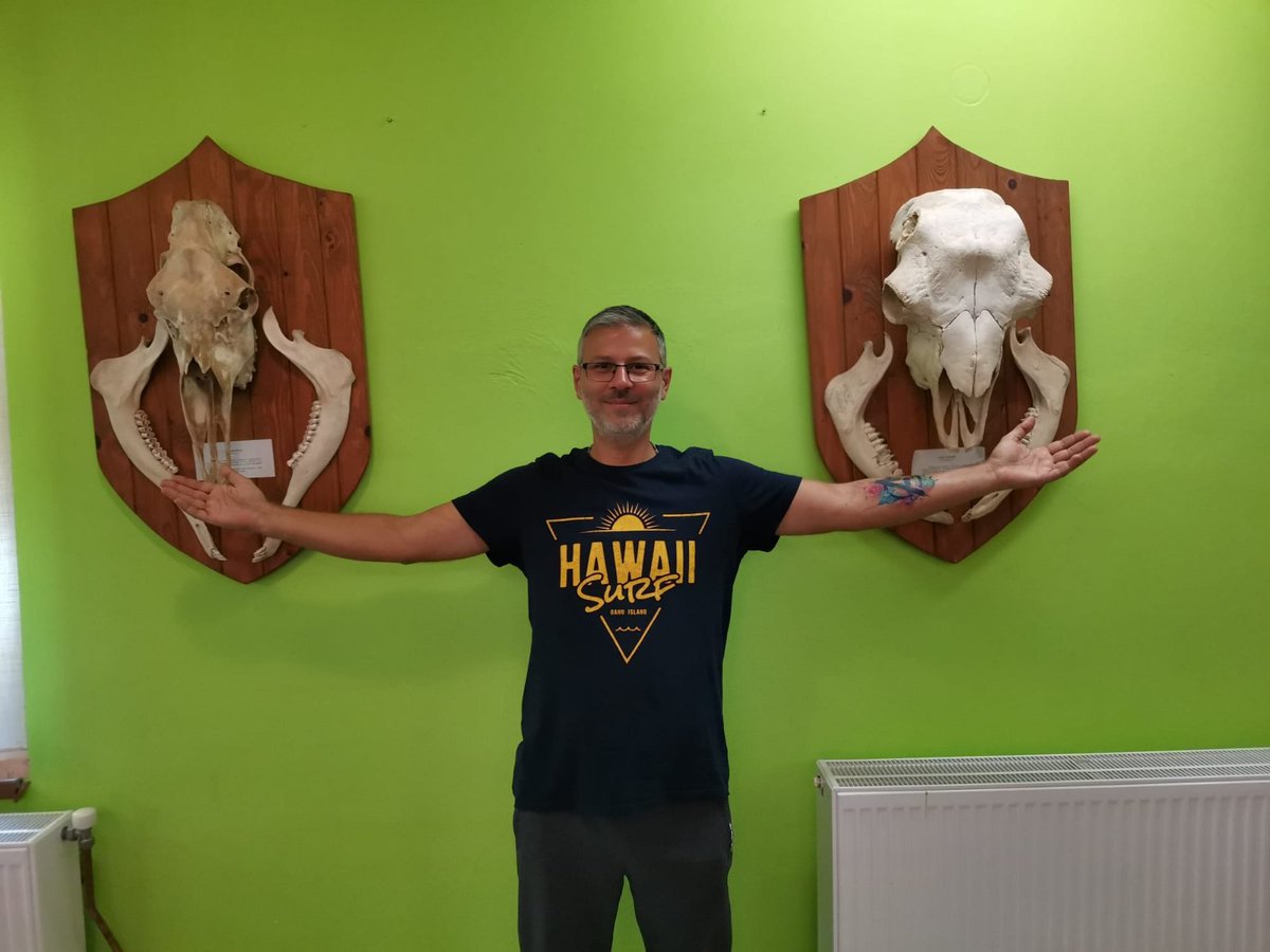 MarVar78's tweet image. 