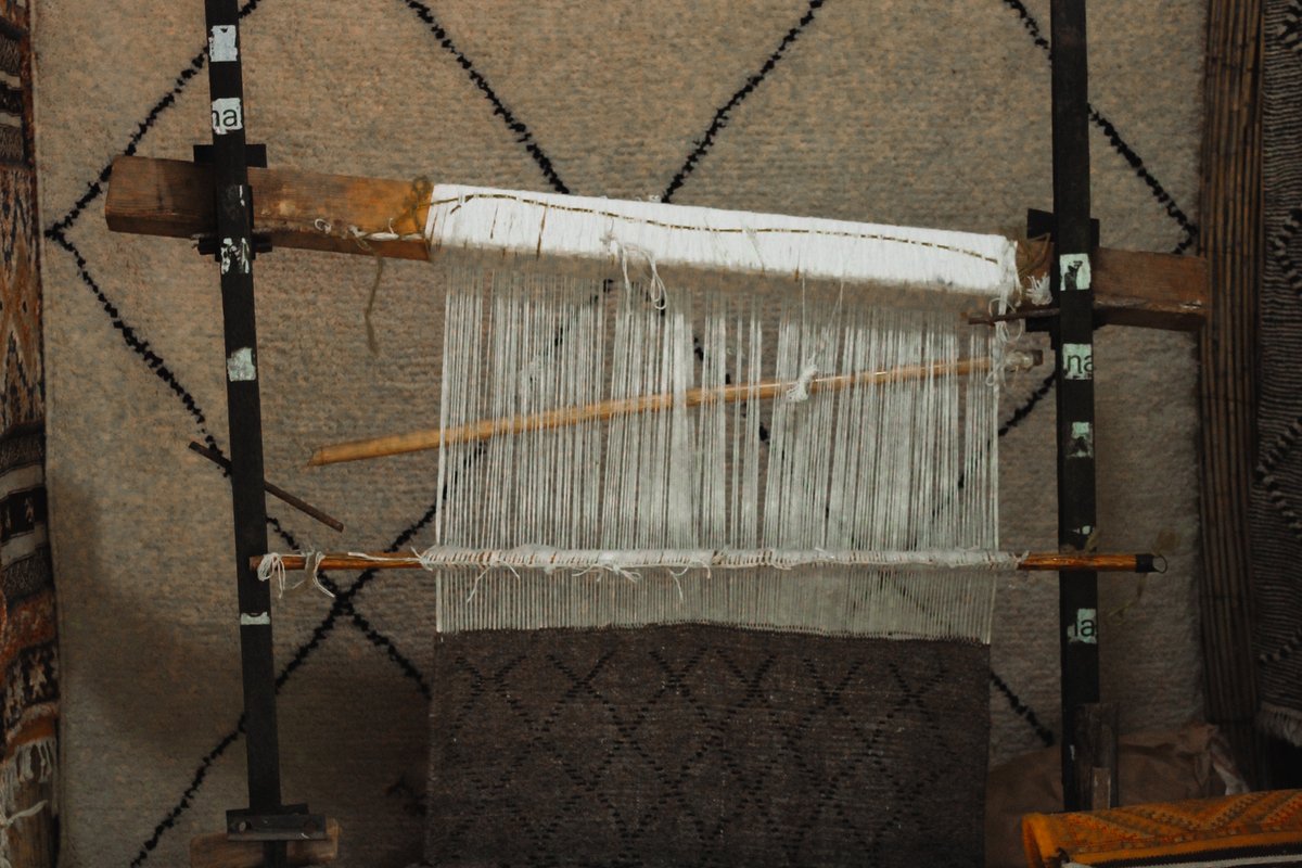 PACIFIQUE Humans Club ® tweet media