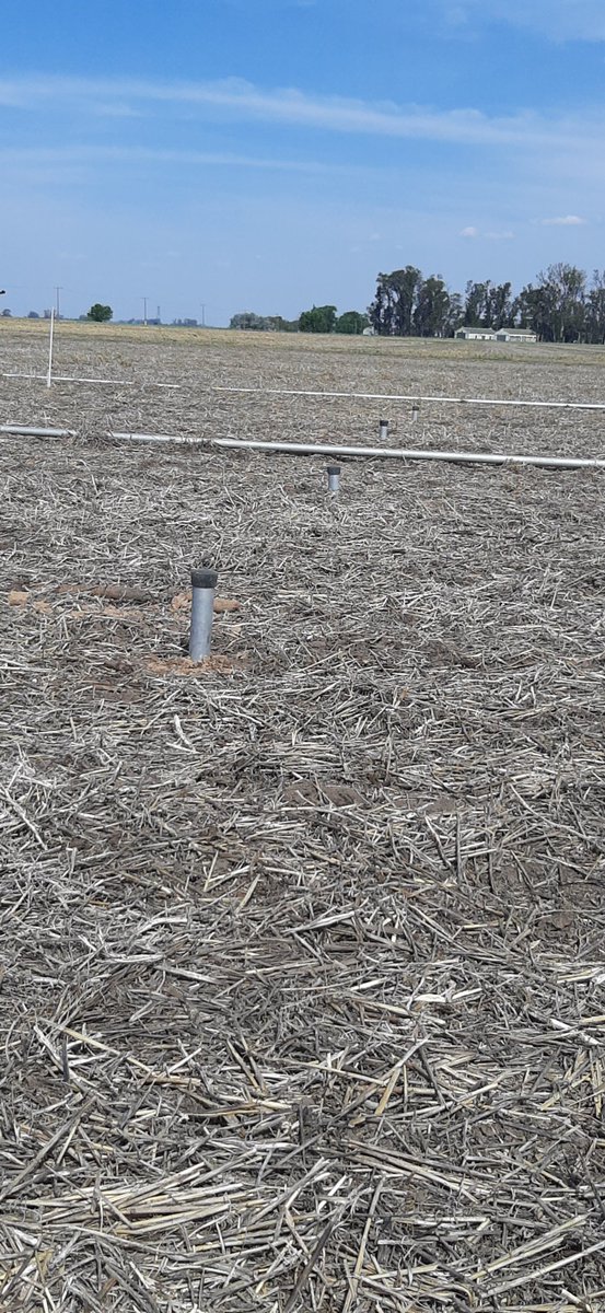 Maria Elena Otegui🎗️ tweet media