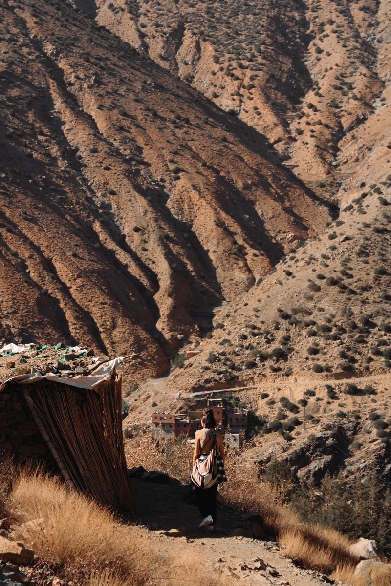 PACIFIQUE Humans Club ® tweet media