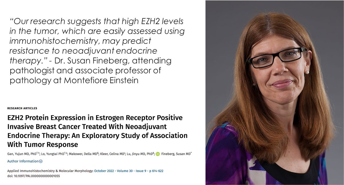 EinsteinPath's tweet photo. In a new study in Applied Immunohistochemistry &amp; Molecular Morphology #pathologist Susan Fineberg, MD &amp; colleagues identified #EZH2 as potential biomarker for predicting response of estrogen receptor-positive #breastcancer to neoadjuvant endocrine therapy. https://t.co/bXy8NK5DHT https://t.co/xxChxPiPk9