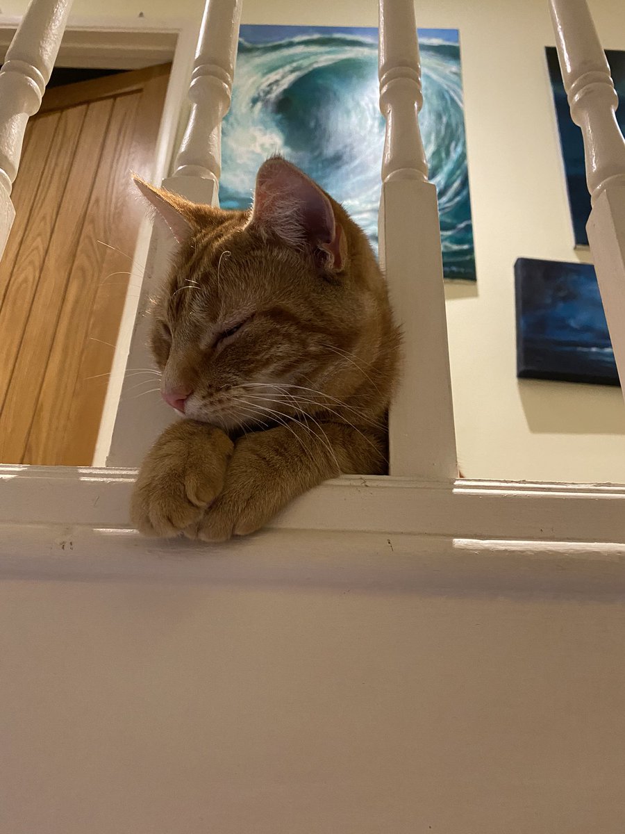 Sleepy autumnal evening