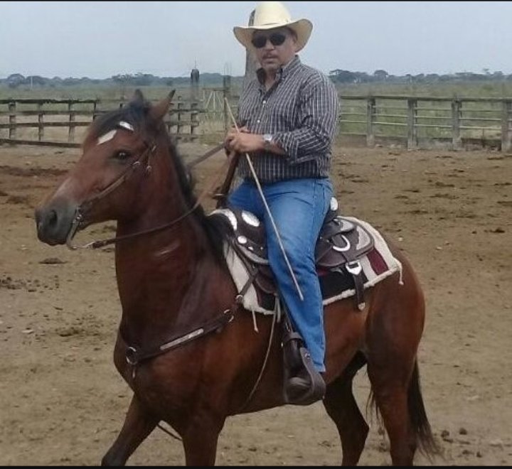 En #Censo2022 ejerza su derecho a autodefinirse como Indígena, Afro, Cholo o Montubio (Art 21, 56, 57 y 60 Constitución). Defina su Pueblo o Cultura por sus raíces, sus saberes ancestrales, sus tradiciones culturales cosmovisión, su entorno y sus rasgos.
#OrgullosoDeSerMontubio