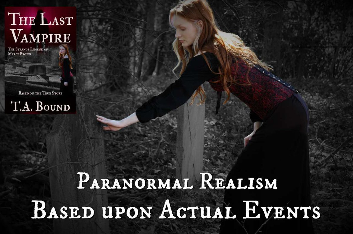 T.A. Bound 🦈🌋 tweet media