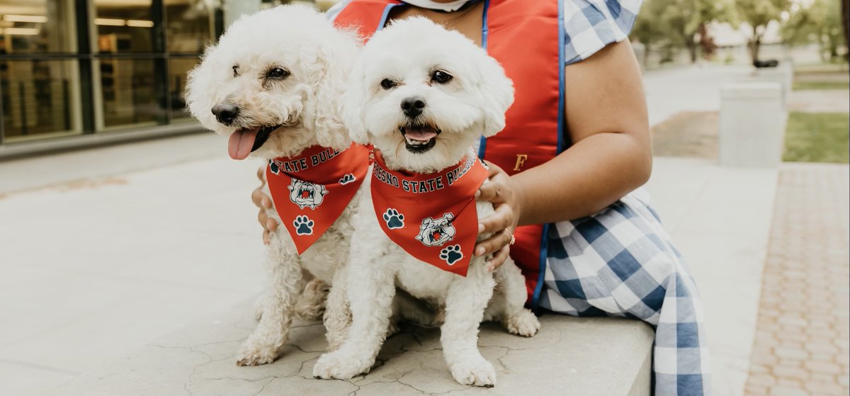 Office of IDEAS tweet media