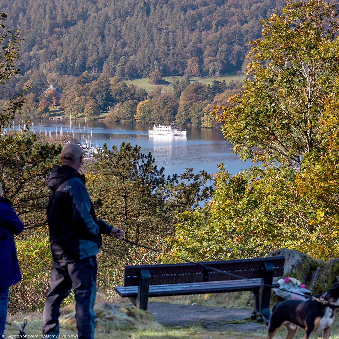 Windermereboats's tweet photo. Catching a glimspe of a 'steamer' through the trees.
π Biskey Howe, Bowness.
πΆ Get there from Bowness Pier with walk 13 > https://t.co/ObfALDFGi4 (FREE Download)
#biskeyhowe #windermereviewpoint #autumn https://t.co/7c1PEnkna4