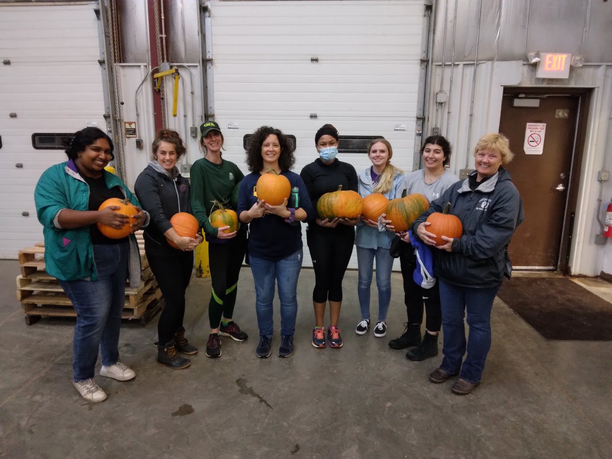 hungertaskforce's tweet photo. Throughout October, the #HungerTaskForceFarm hosted a variety of amazing groups to help us harvest locally-grown fruits and vegetables, allowing Hunger Task Force to provide fresh produce to our network of pantries and local seniors. #thanks #volunteers  #farming #farm #orchard https://t.co/feJaGgpPYF
